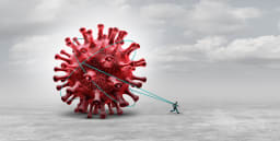 Virus sars cov 2
