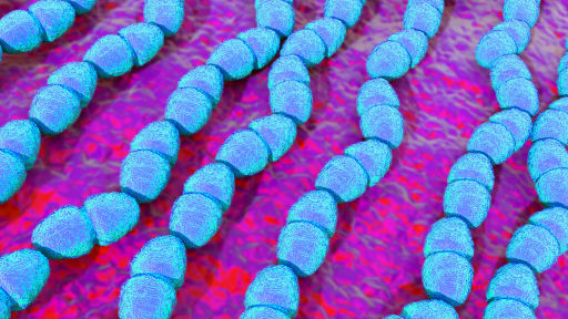 Der Darm als immunologischer Co-Faktor?  