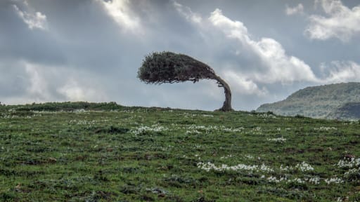 „Glücklich im Arztberuf“ bleibt kein Zufall