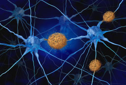 Neuronen