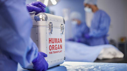 Transplantationsmedizin: Neue Ansätze gegen den Organmangel