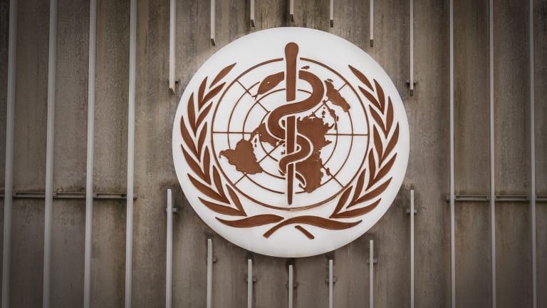 „One Health” und Infektionsschutz: Warum wir die WHO brauchen