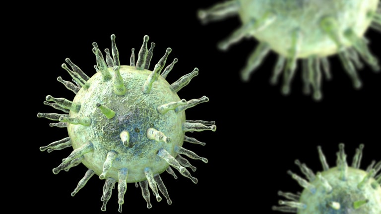 Epstein-Barr-Virus