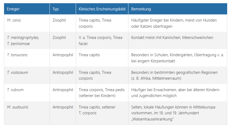 Pilzinfektionen der Haut bei Kindern