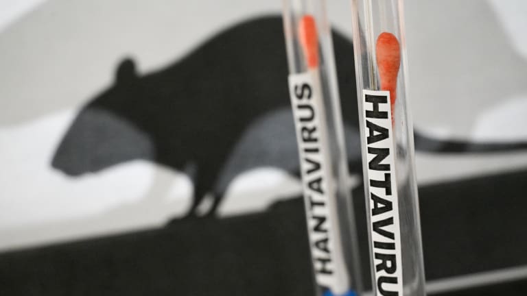 Hantavirus  Fragen und Antworten