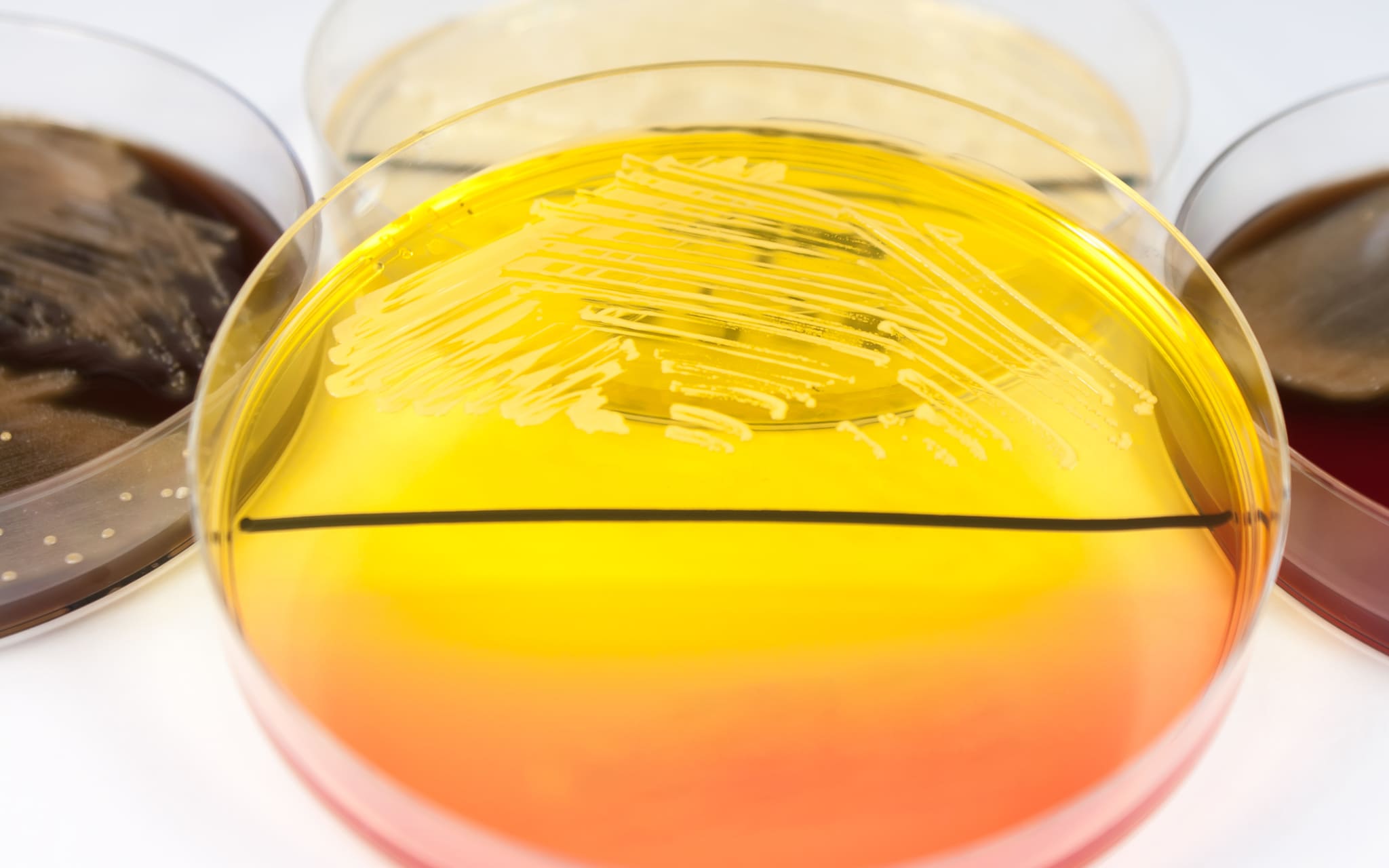 coliquio Die medizinische coliquio