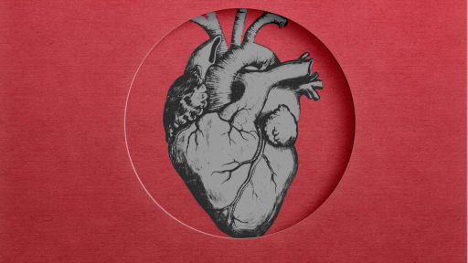 Darstellung eines menschlichen Herzens auf rotem Hintergrund