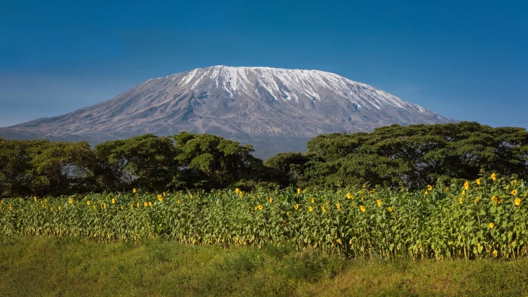 Kilimanjaro