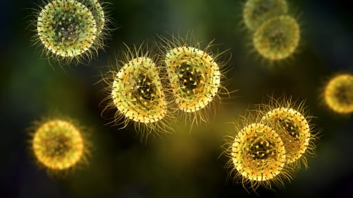 Stiko empfiehlt Impfung gegen Meningokokken für Kinder ab 12 Jahren