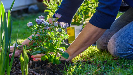 Eine scheinbar harmlose Fingerverletzung mit schwerwiegenden Folgen