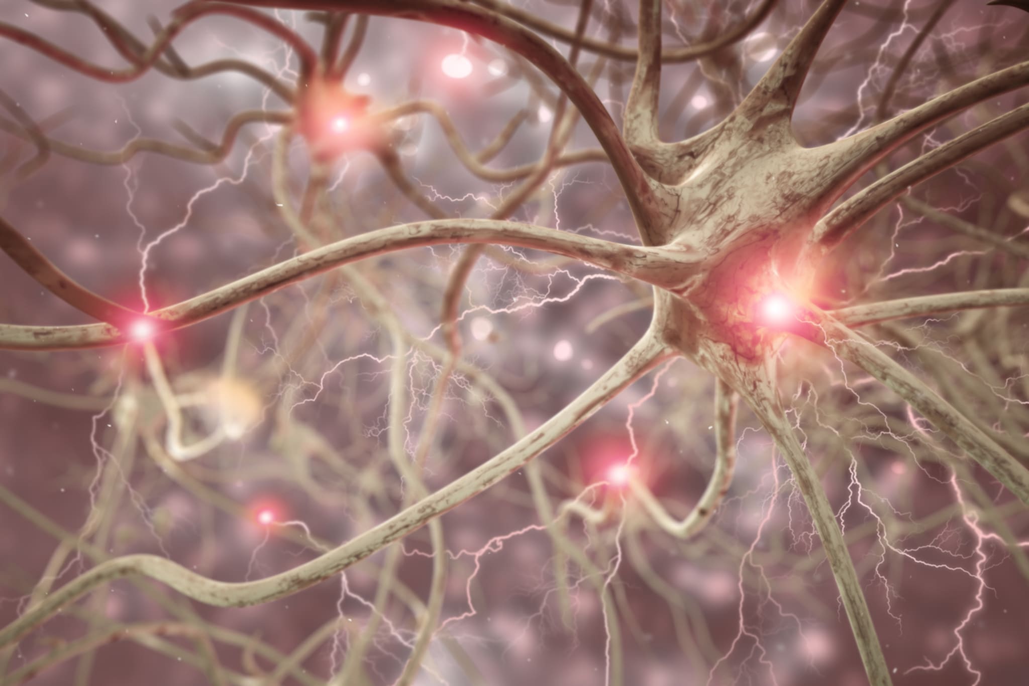 Fallauflösung Krampfanfälle & Verhaltensänderungen