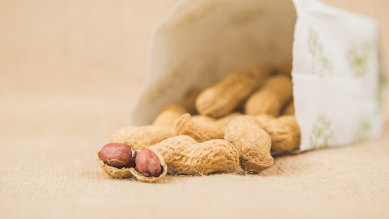 Bluttest könnte Wirksamkeit von Erdnuss-Therapie vorhersagen