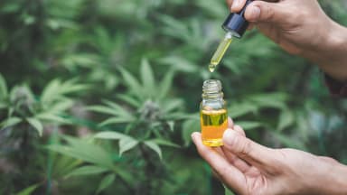 Cannabis-Wirkstoff hilft traumatisierten Menschen