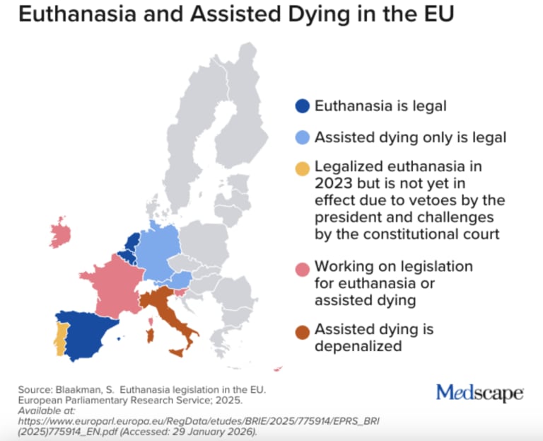 Nicht immer ist der letzte Weg friedlich: Warum Euthanasie medizinisch schlechter erforscht ist als lebensrettende Therapien