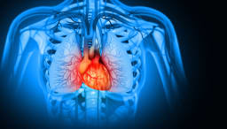 KHK und Genetik: Gen- Risiko-Scores zur Prävention