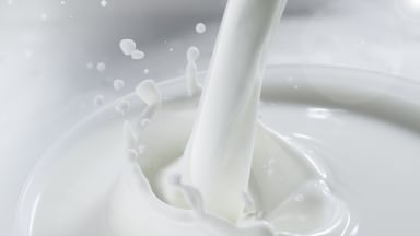 Milch