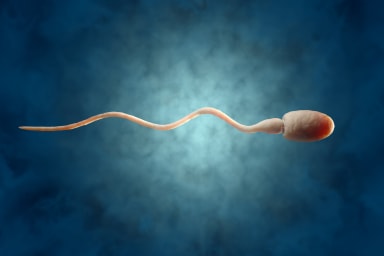 Sperma-Analyse