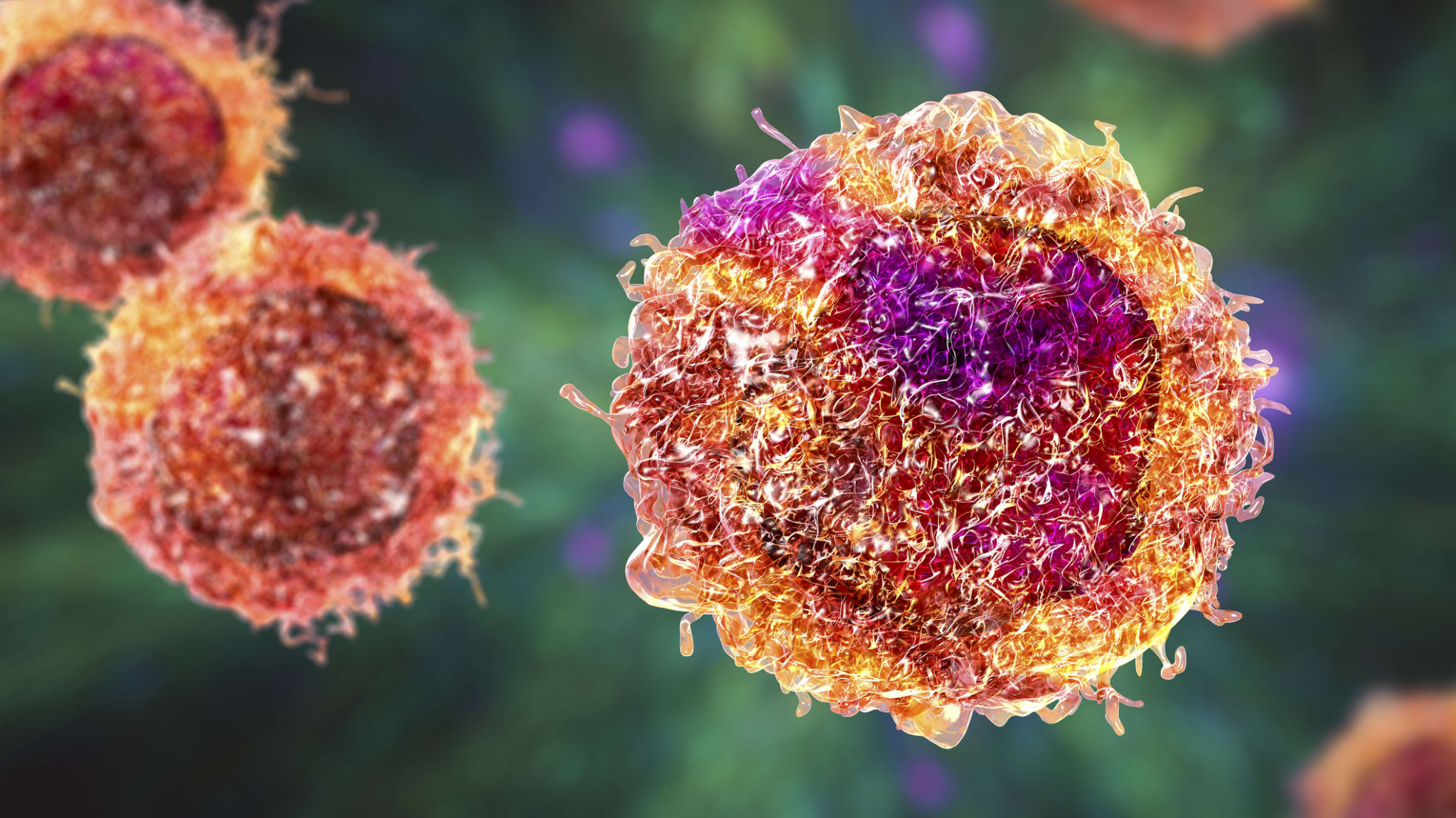 DGHO Fachgesellschaft