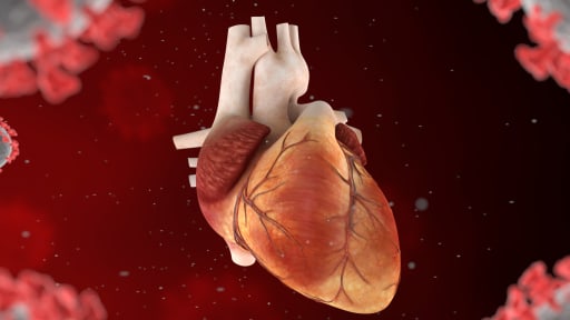 Neues zu COVID-(Langzeit-)Folgen in der Kardiologie 