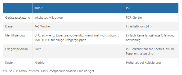 Pilzinfektionen der Haut bei Kindern