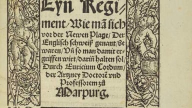 Englischer Schweiß