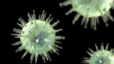 Epstein-Barr-Virus