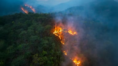 Waldbrände in Südeuropa: Gesundheitsschädigende Rauchaerosole auch bei uns?