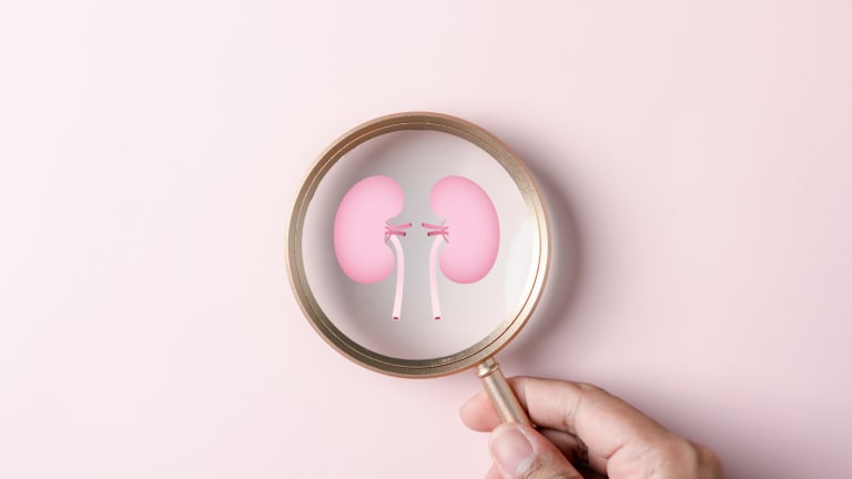 CKD: früh erkennen & gezielt behandeln