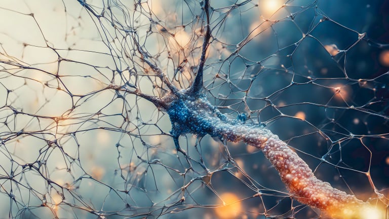 Neurodegenerative Erkrankungen werden häufiger – nur warum?
