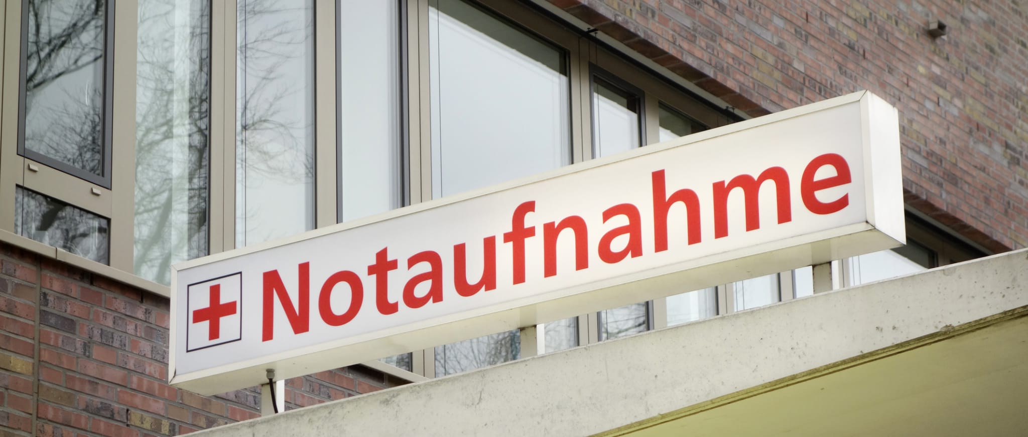 Notfall Infektion In Nur 15 Minuten Baby Lily 5 Monate Von Zecke Gebissen Bitte Teilen Sie Das - 0032jm1