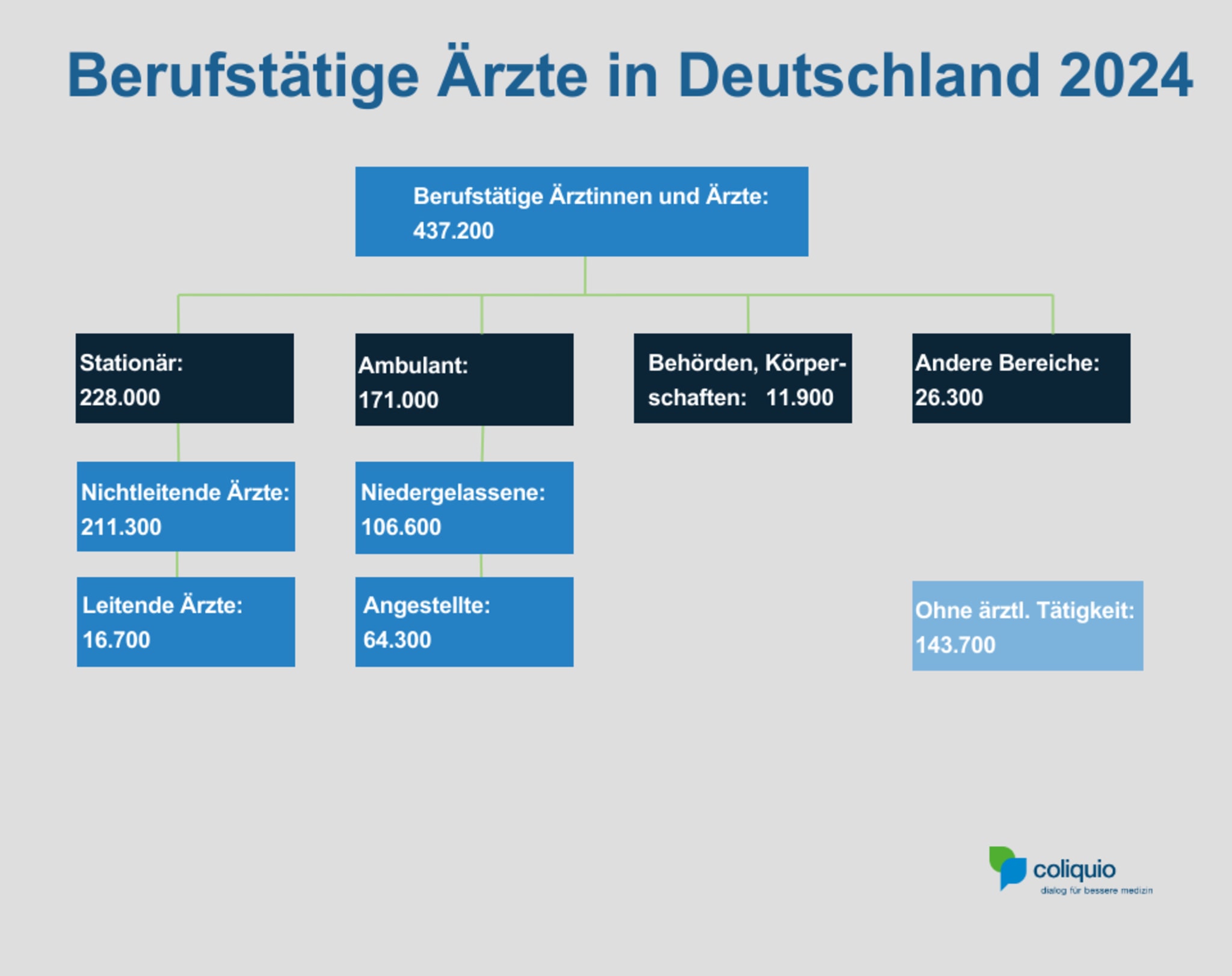 Berufstätige Ärzte in Deutschland 2024