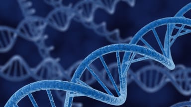 dna strang doppelhelix