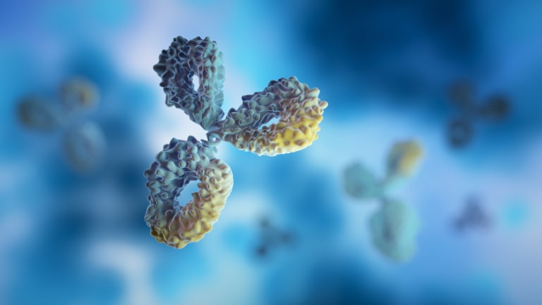 CTLA-4-Inhibition