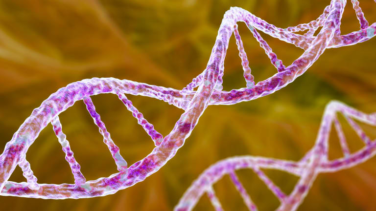 dna doppelhelix