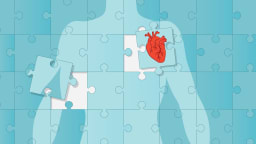 Puzzle: Das fehlende Puzzleteil 