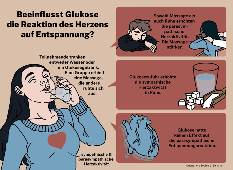 Beeinflusst Glukose die Reaktion des Herzens auf Entspannung?