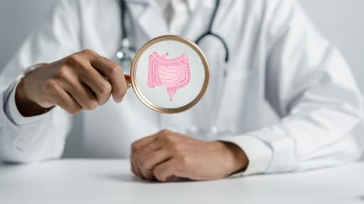 Fokus auf die Darmgesundheit