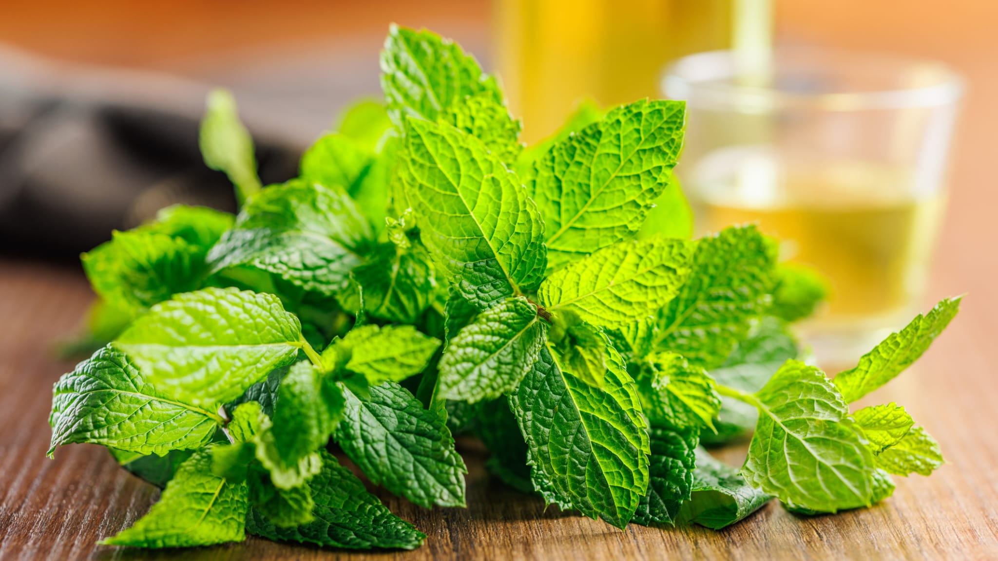 Kardial wirksame Heilpflanzen in der Onkologie