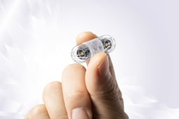 Bessere Darmdiagnostik durch KI?