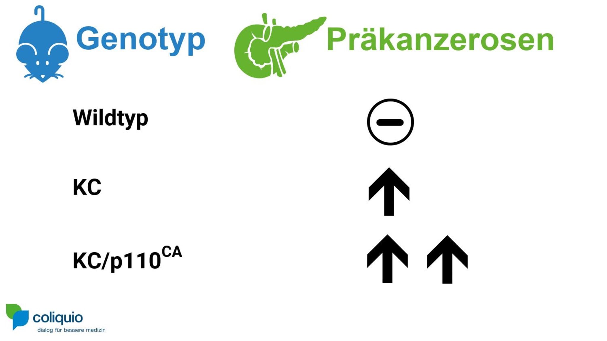 PI3KInhibitoren Gefahr bei Übergewicht coliquio