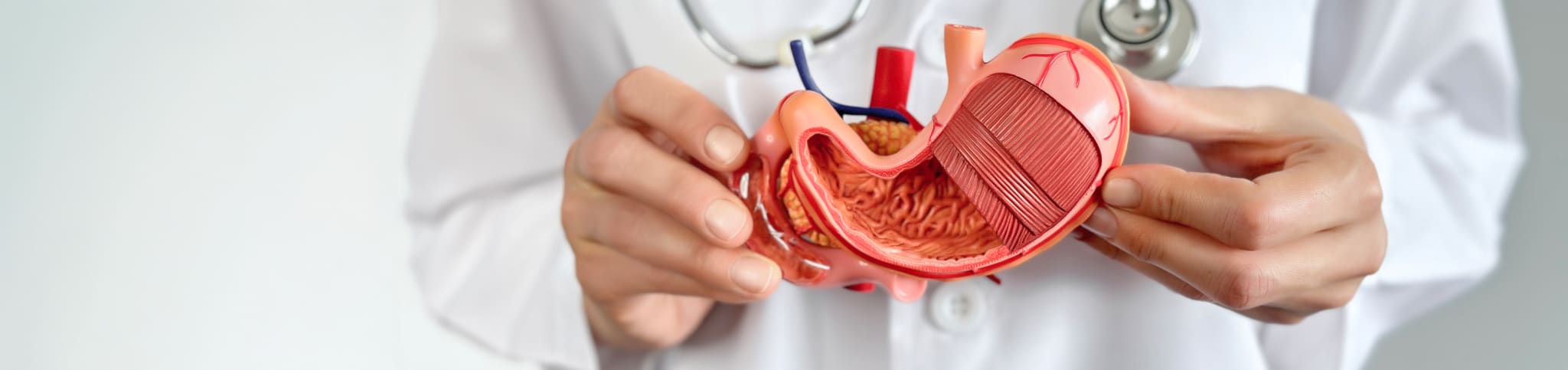 carousel image
