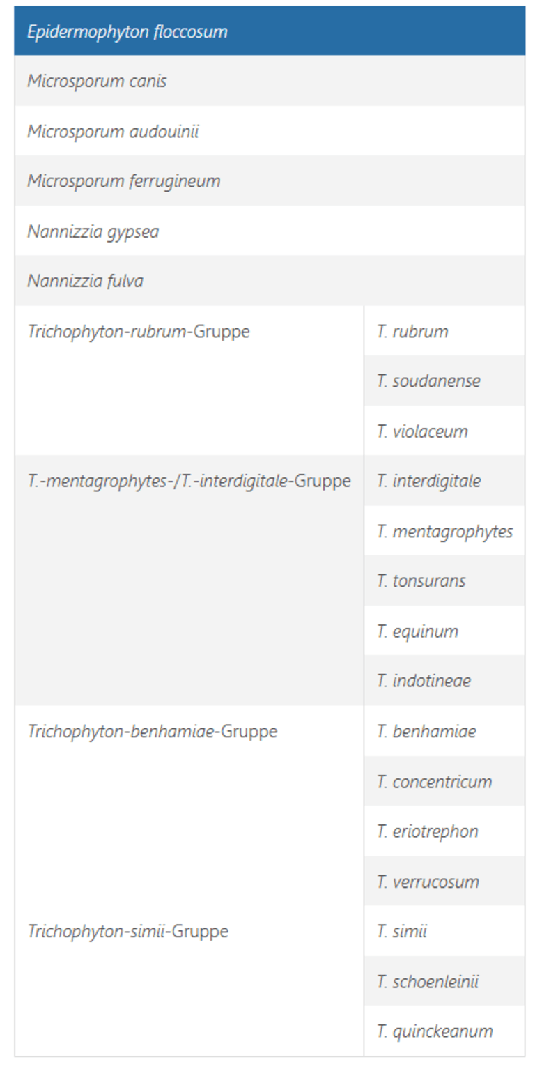 Pilzinfektionen der Haut bei Kindern