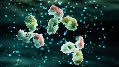  IL-17-Inhibitoren und kardiovaskuläres Risiko: neue Erkenntnisse