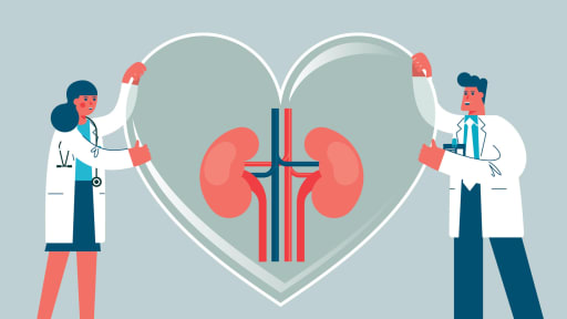 Nierenschwäche bei Herzinsuffizienz: Mehr als nur die eGFR