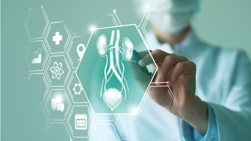 Neuer Zelltyp entdeckt: TRPC6 als neues Therapie-Target?