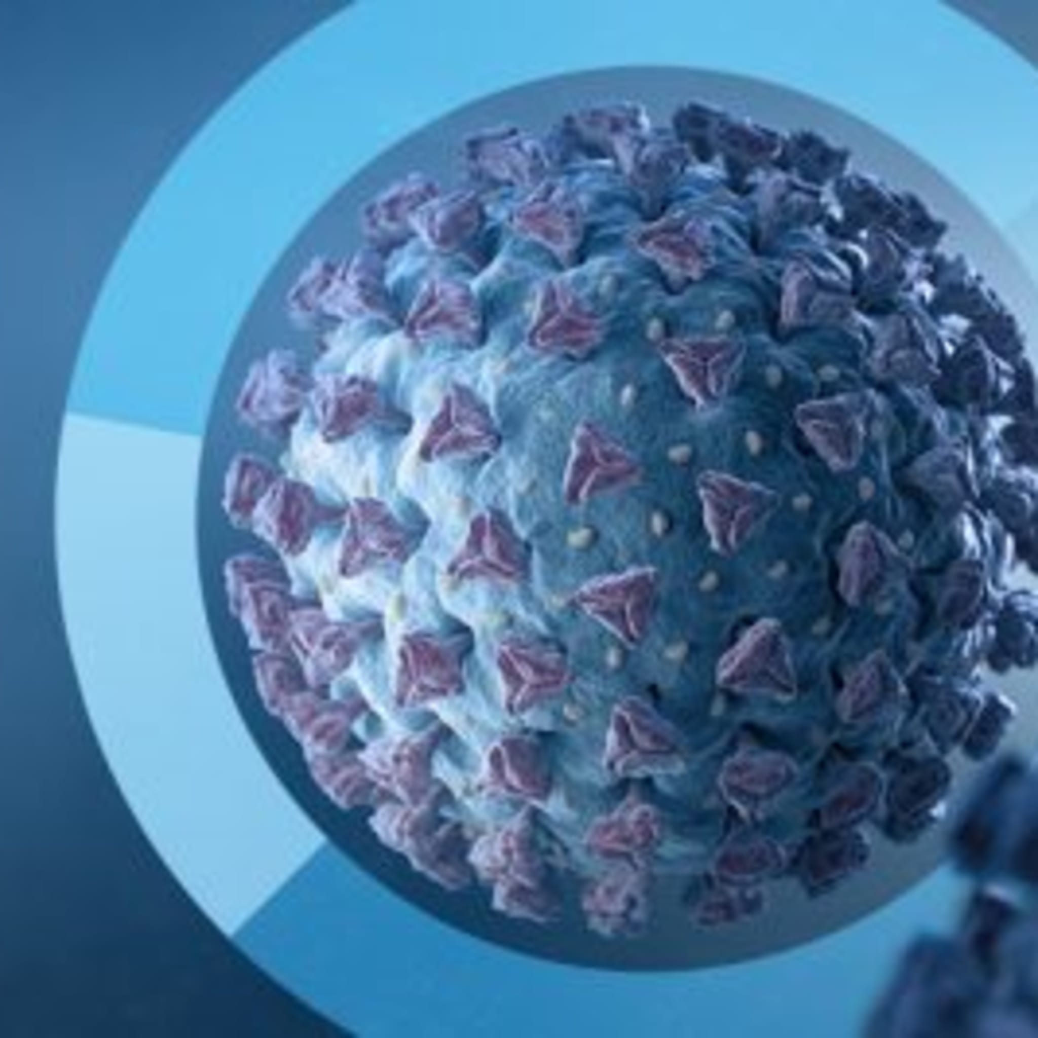 Covid-19-Umfrage Graphik Covid-19-Umfage