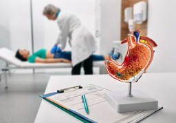 Ärztliche Fachkraft tastet den Bauch ab