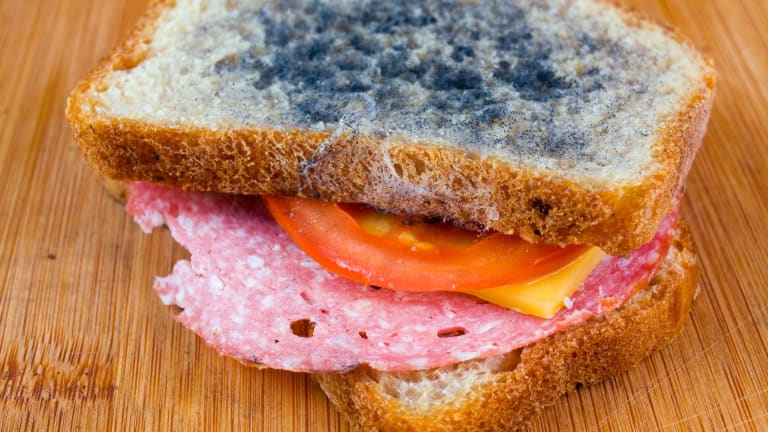 Schimmliges Toastbrot