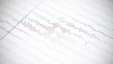 epilepsy brain waves