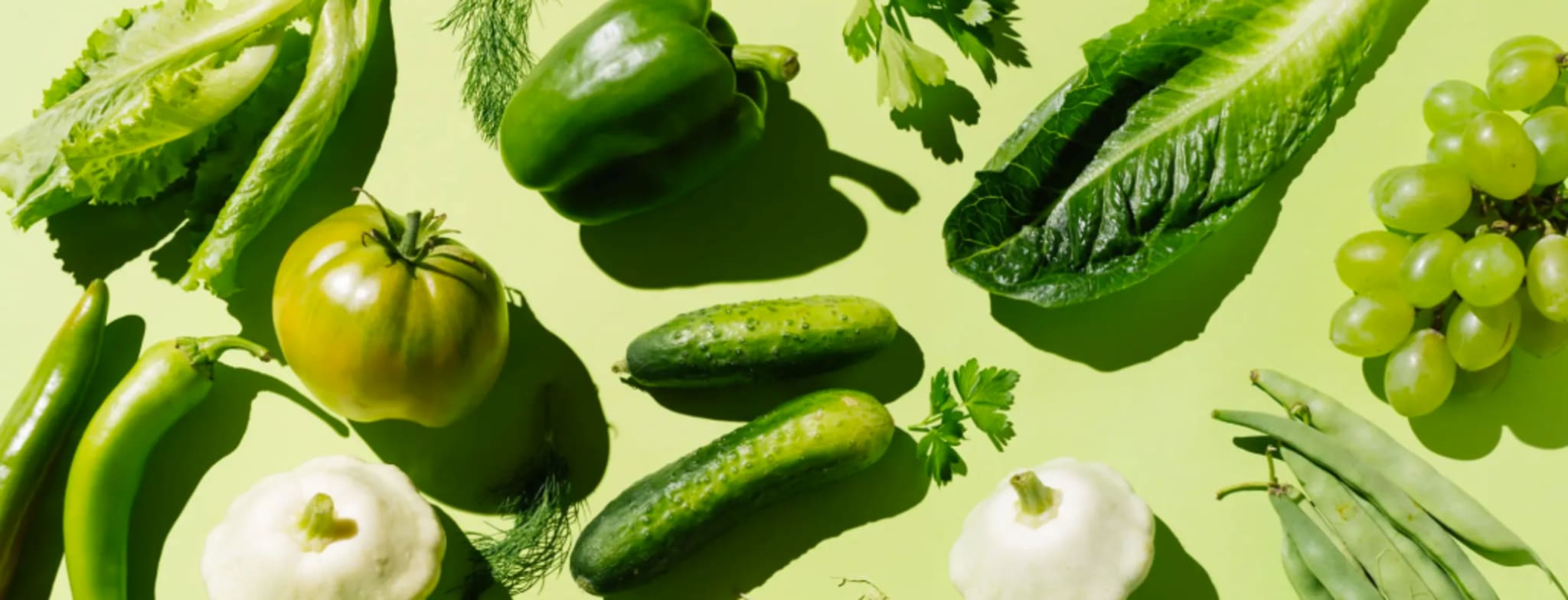 Ernährung
